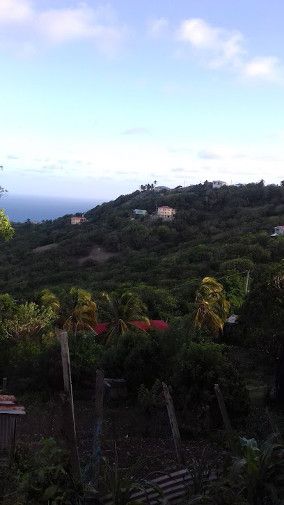 Arawak Divers Carriacou