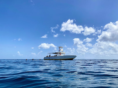 Aquanauts Grenada
