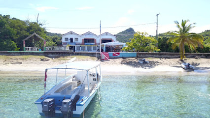 Dive Carriacou
