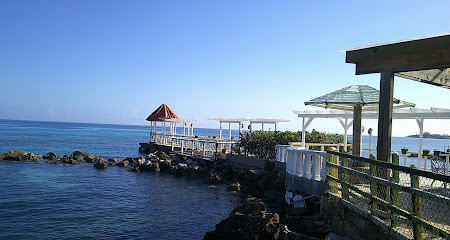 Jamaica Scuba Divers Ltd.