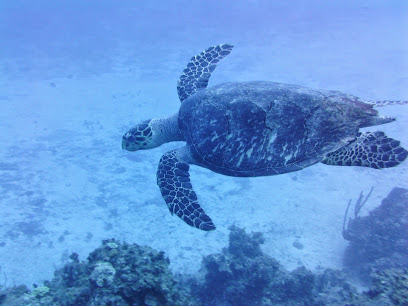 Garfield Diving Station