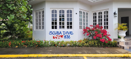 Dive 876