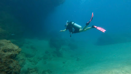 Dive with Mike