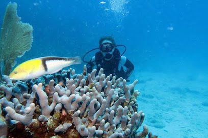 Sea Ventures Pro Dive Centers