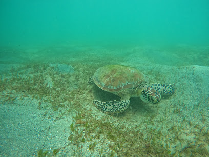 Caribe Aquatic Adventures