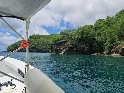 Dive Saint Lucia/Scuba Steve's Diving