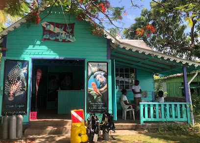 Dive Bequia