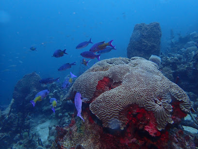 Serenity Dive Inc