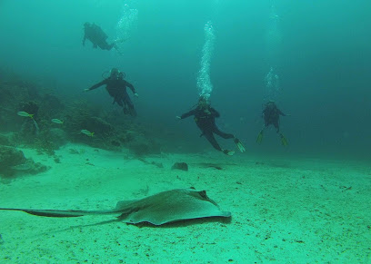 Undersea Tobago