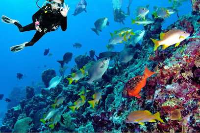 Patagon Dive Center