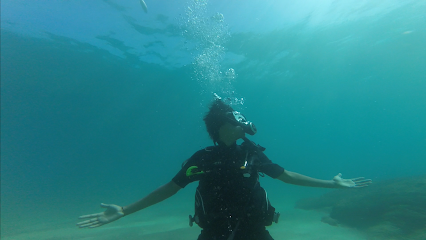 Try Scuba Diving - St Thomas USVI