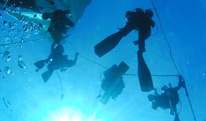 Adventure Scuba & School
