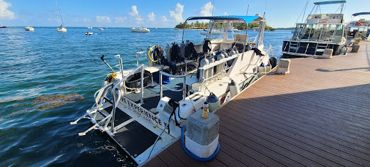 Dive Experience
