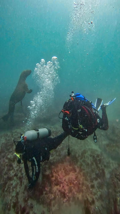 Poseidón Buceo
