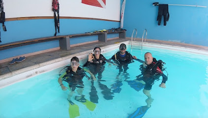 Tournier Divers