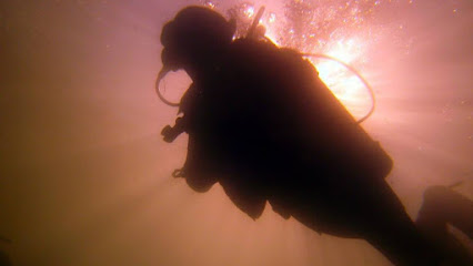 Escuela Acitiviades Subacuaticas Argentina Escuela de Buceo Deportivo - Certificación PADI
