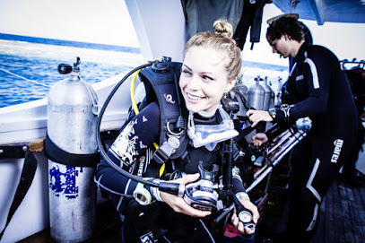 MS Buceo-Dive Center SSI