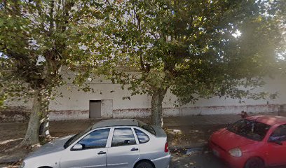 Alfa Buceo - Asociacion Emanuel