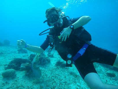 Mar Buceo Escuela