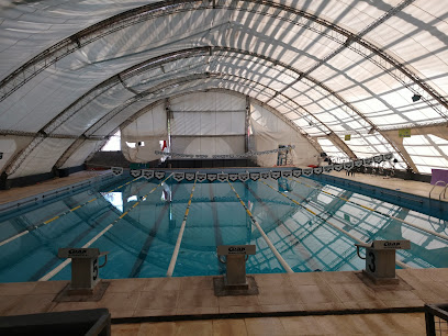 Buceo En Neuquen