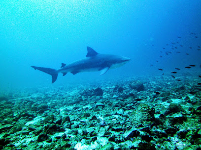 Buceo JULIOBUCEO