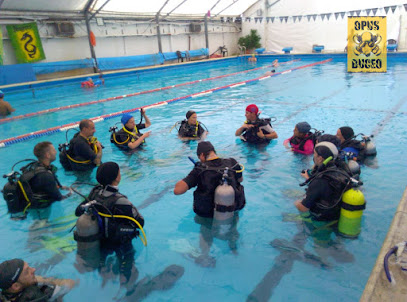 OPUS BUCEO