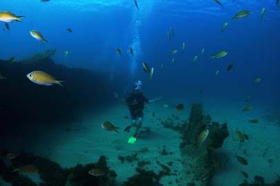 Acqua Noronha mergulho
