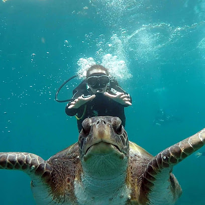 Scuba Búzios Escola e Operadora de Mergulho