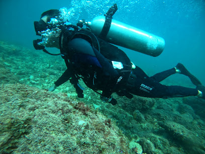 Dive Soul - Cursos de Mergulho PADI - Rio de Janeiro