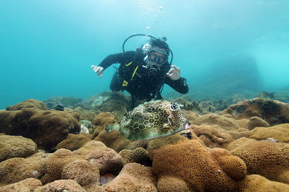Private Diver - Operadora e Escola de Mergulho em Arraial do Cabo e Centro de Formação de Instrutores (ant. Sandmar)