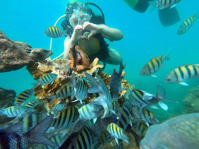 Mercio Subdive - Mergulho