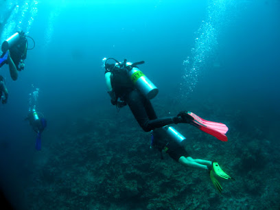 Technodiver da Amazônia