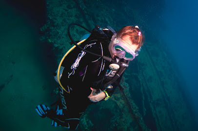 Diving Experience