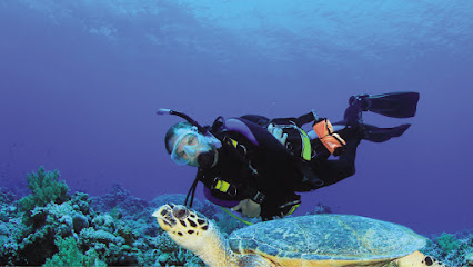 Ilha Divers