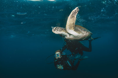 Acqua World - Dive Operator and Scuba School