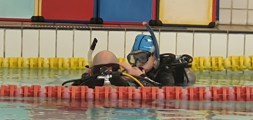 Diving College - Cursos de Mergulho, Viagens de Mergulho, Loja de Mergulho