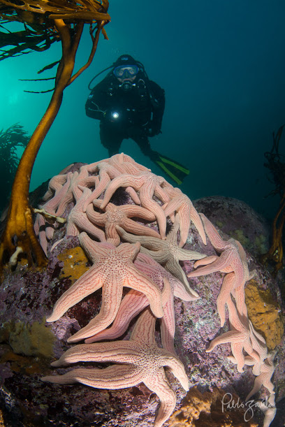 Buceo Algarrobo