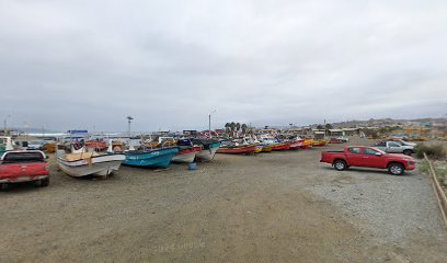 Amniota Divecenter