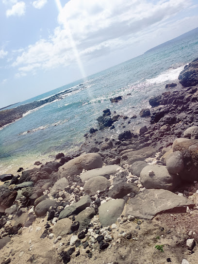 Sam's snorkel palace