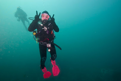 Buceo Bravamar