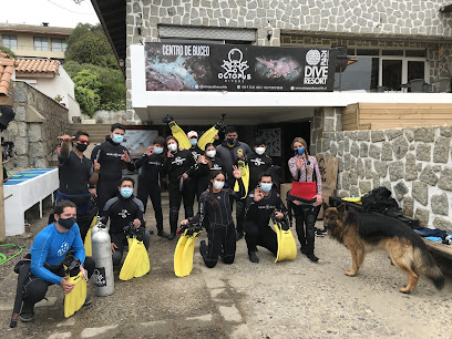 Octopus Divers