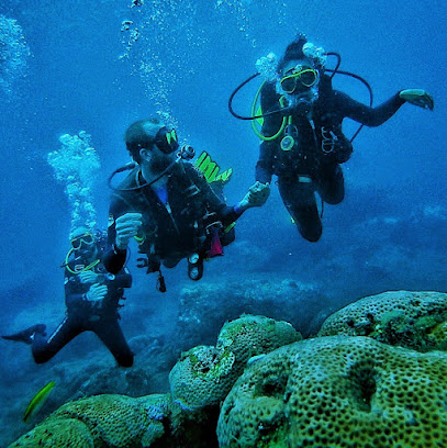 Reef Shepherd