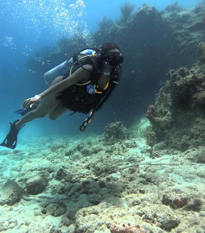 HANS DIVE SHOP