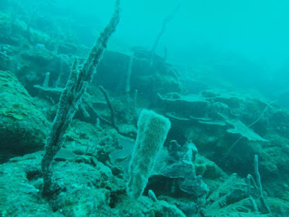 Scuba Cartagena Centro de buceo