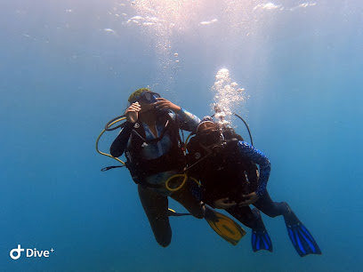 Buceo en capurgana shark dive center