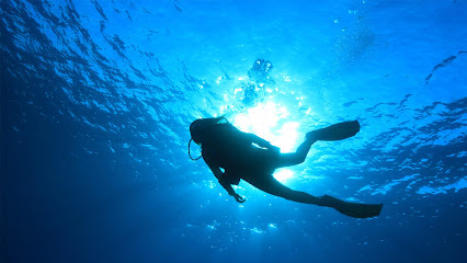 Alejo Moreno Buceo