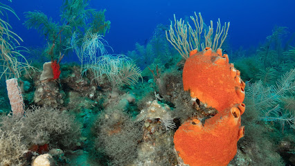 Travel&Diving