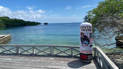 La Reina Mora Dive Point