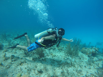 Paul Diving buceo