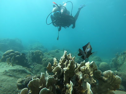 Bigfish Scuba